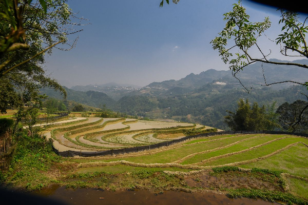 5 Day 4 Night Sapa Trekking Tour with Fansipan Hiking from Hanoi - photo 4